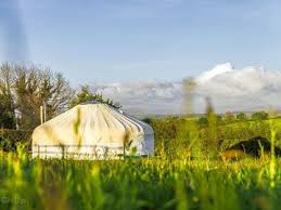Devon Yurt  Tavistock     Pitchupcom