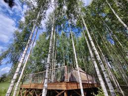 Käkiniitty Glamping Tammela