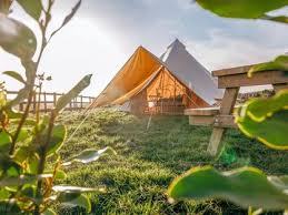 Glamping  Paddocken Tenby  Uppdaterad