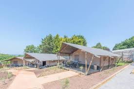 Lyxig Glamping  Stags Head Abbotskerswell
