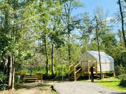 Tentrr  Woodland  Enskild Camping vid Tickfaw State Park