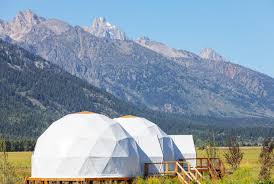 Tammah Jackson Hole Wilson