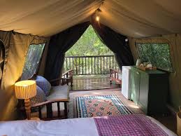 Skogsglamping Vildmarken